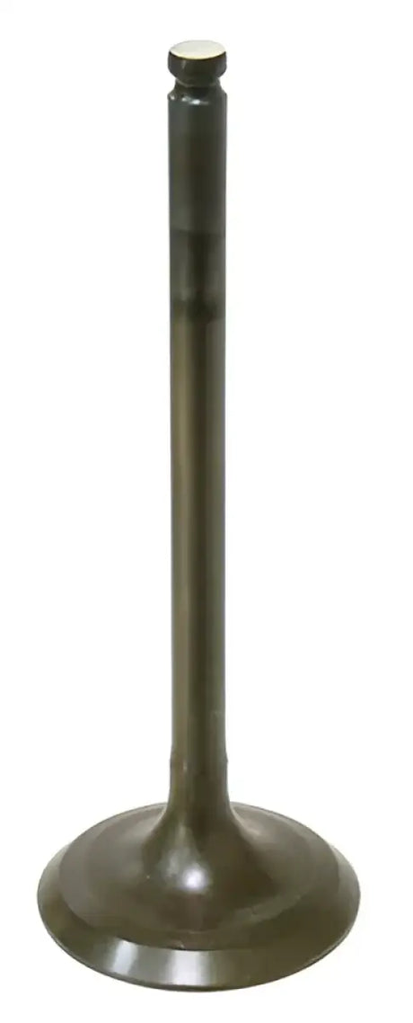 AU-09160I Intake Valve 