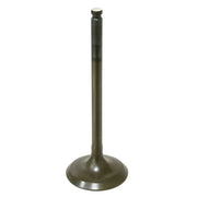 AU-09160I Intake Valve 