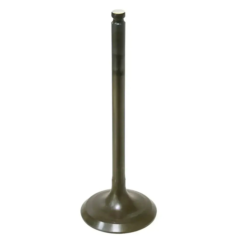 AU-09160I Intake Valve 