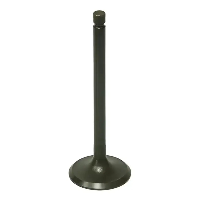 BRONCO AU-09191E Exhaust Valve