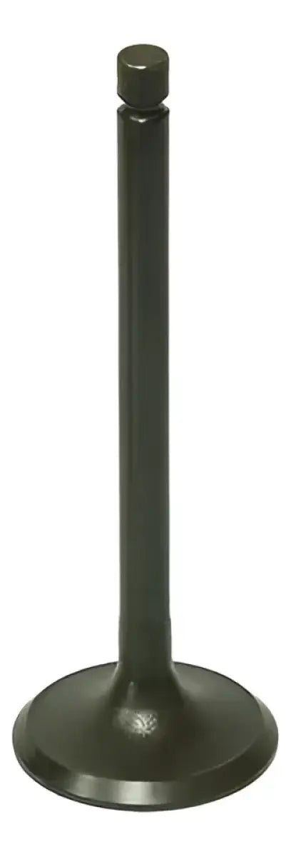 BRONCO AU-09191E Exhaust Valve