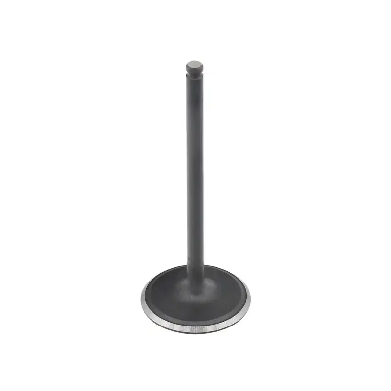 AU-09201I Intake Valve Can 