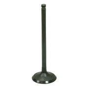 AU-09204E Exhaust Valve