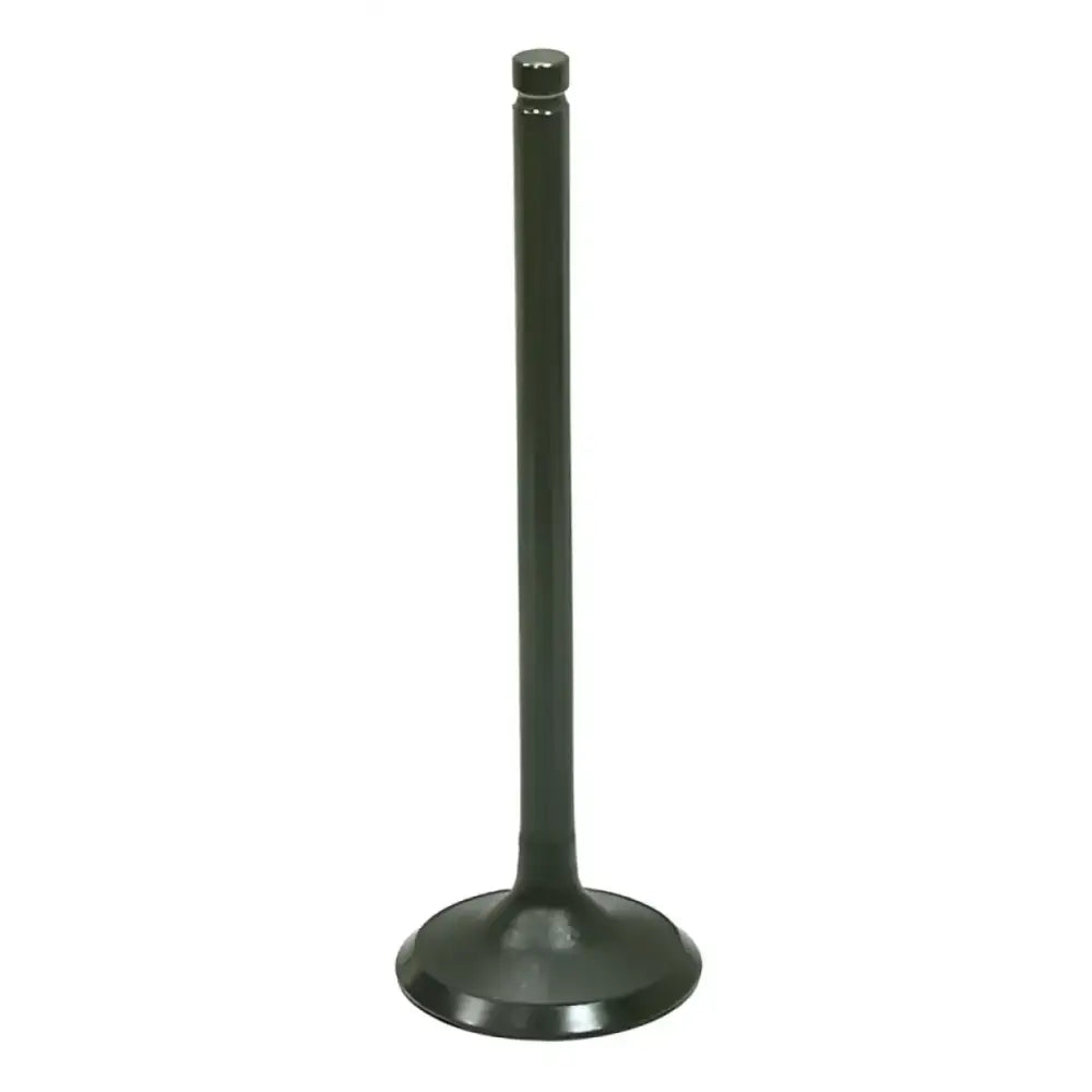 AU-09204E Exhaust Valve