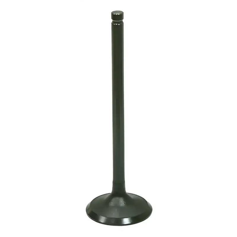 AU-09204E Exhaust Valve