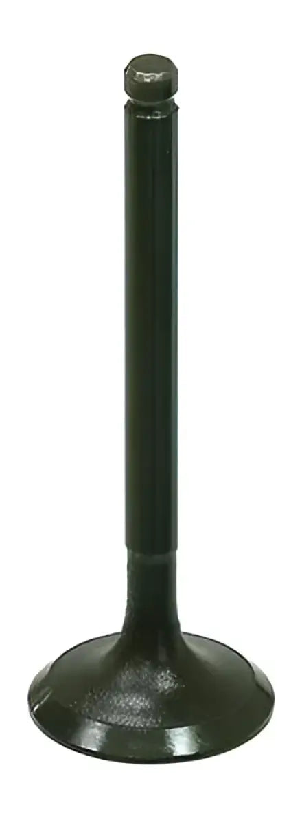 BRONCO AU-09212I Intake Valve