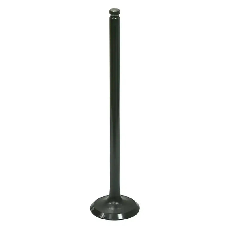 AU-09214E Exhaust Valve