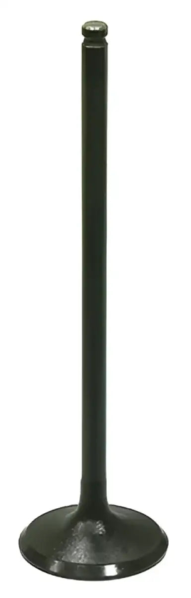 AU-09214I Intake Valve