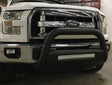 B1603B Bull Bar
