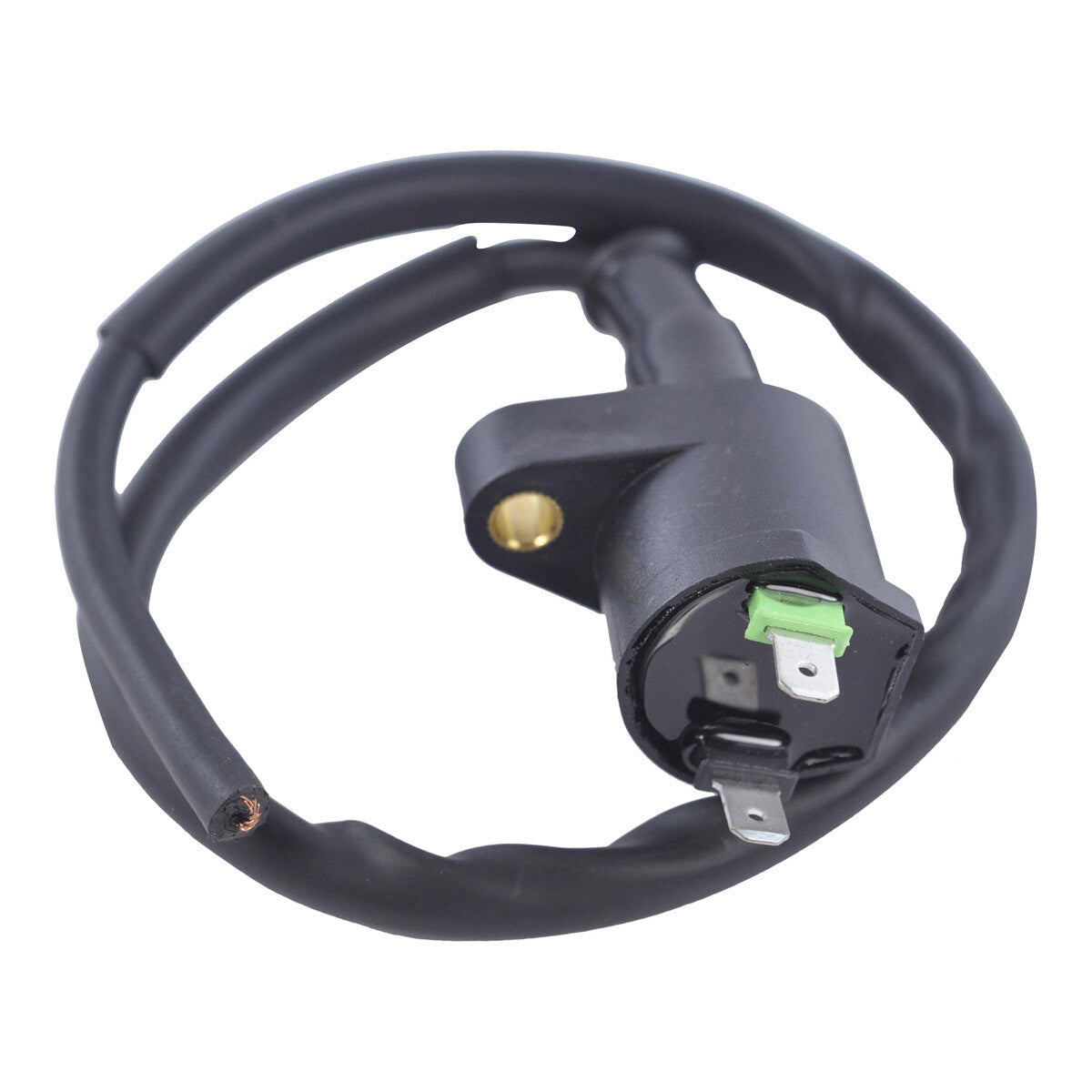 RM Stator External Ignition Coils Electrical RM06025