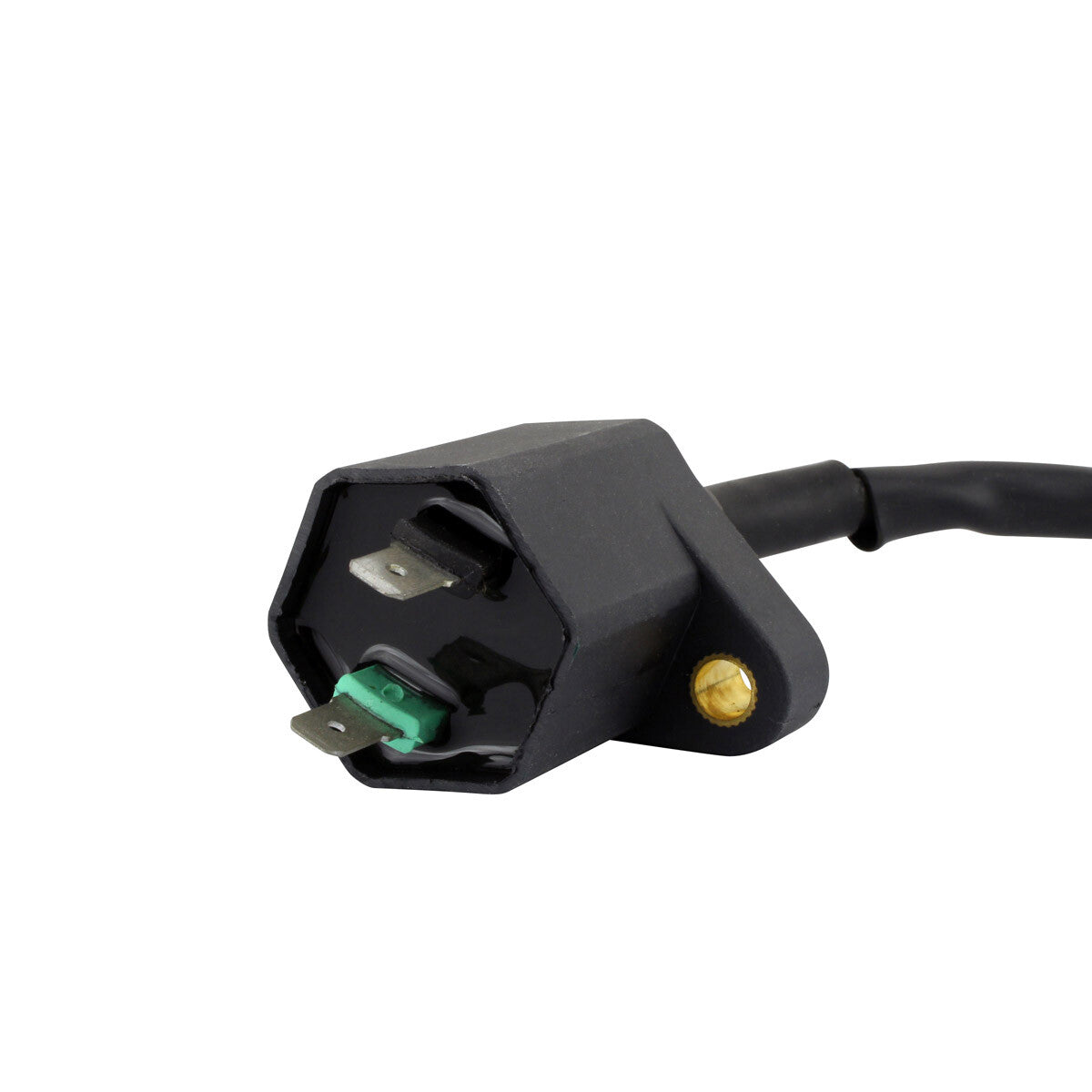 RM Stator External Ignition Coils Electrical RM06172