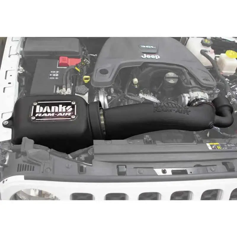 Banks Power 41843