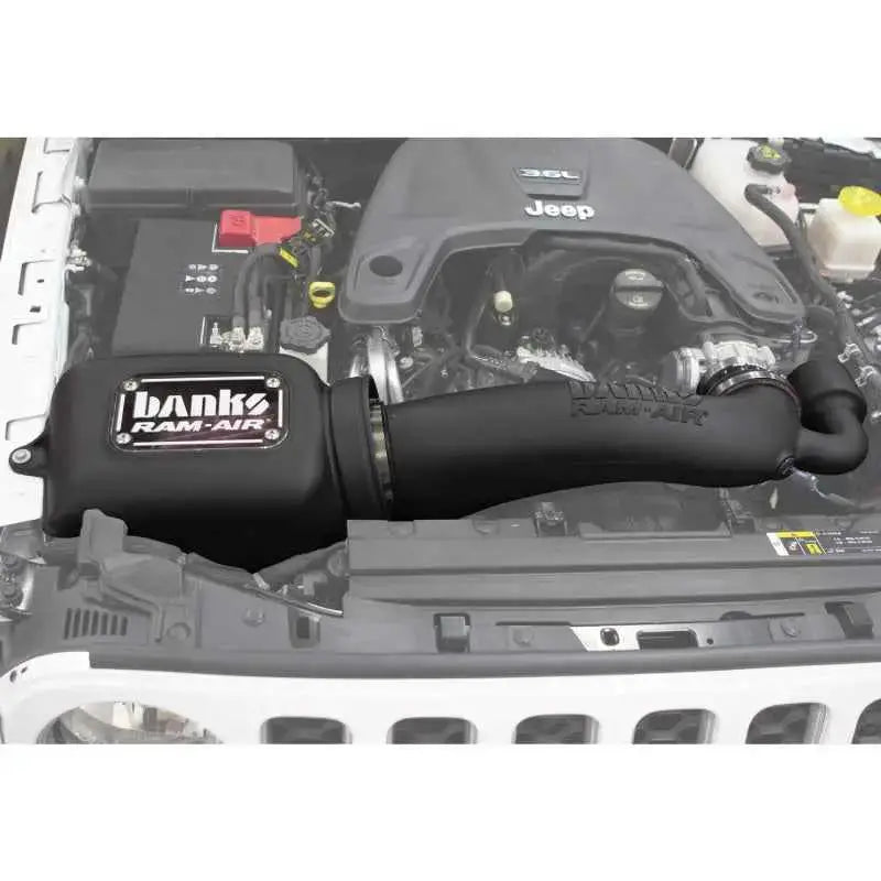 Banks Power 41843