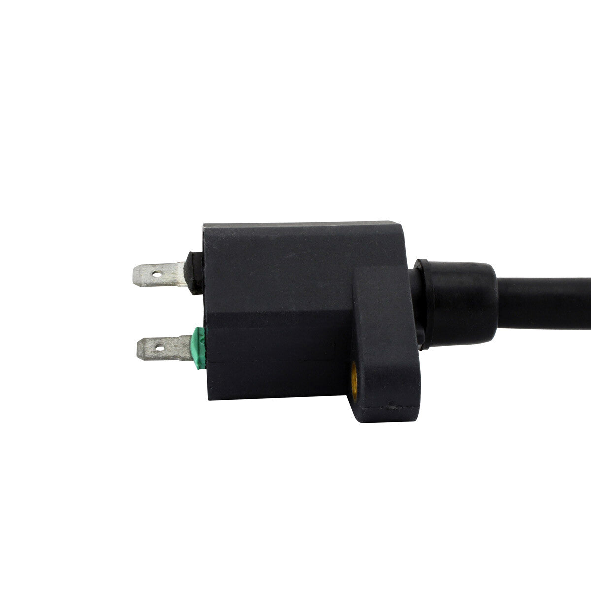 RM Stator External Ignition Coils Electrical RM06172
