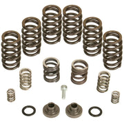 BD Diesel 1040185 BD Diesel Governor Spring Kit 4000rpm - 1994-1998 Dodge 12-valve/P7100 Pump - 1040185