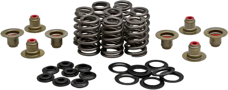 Beehive Valve Spring Kit .550 Lift M8`17 24 Non Vvt - KPMI