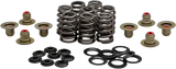 Beehive Valve Spring Kit .550 Lift M8`17 24 Non Vvt - KPMI