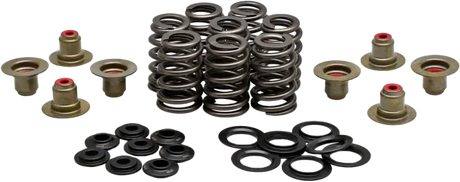 Beehive Valve Spring Kit .550 Lift M8`17 24 Non Vvt - KPMI