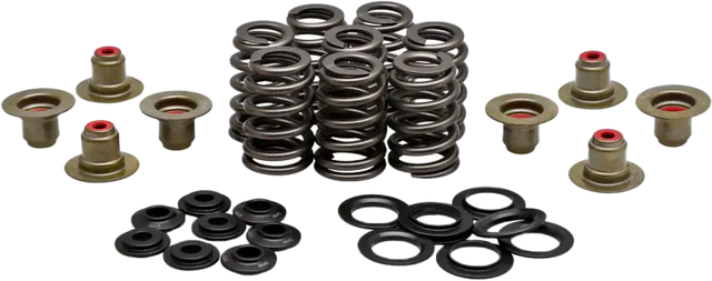 Beehive Valve Spring Kit .550 Lift M8`17 24 Non Vvt - KPMI