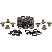 Beehive Valve Spring Kit .550 Lift M8`17 24 Non Vvt - KPMI