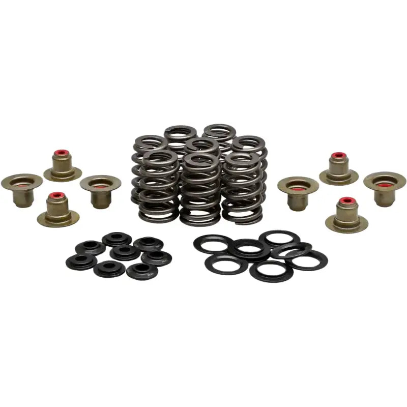Beehive Valve Spring Kit .550 Lift M8`17 24 Non Vvt - KPMI