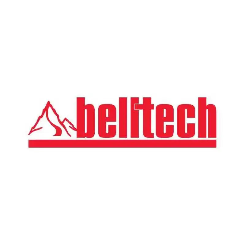 Belltech 15101