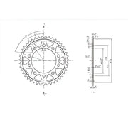 Motorcycle rear steel sprocket diagram for BikeMaster Honda Rear Steel Sprocket 520 43T