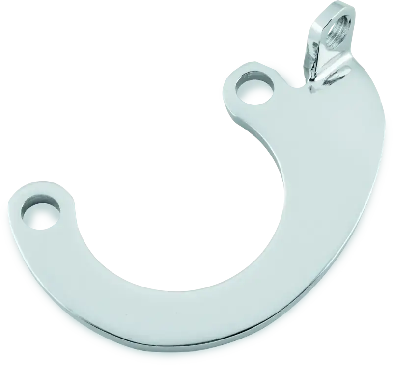 Bikers Choice Chrome Big Twin Mousetrap Eliminator Bracket - RV and Auto Parts