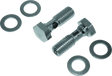Bikers Choice Evolution Cam Big Twin Breather Bolt Kit - Bikers Choice