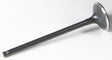 Black Diamond Exhaust Valve - Powersports