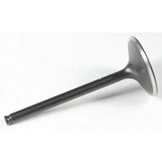 KPMI Black Diamond Intake Valve for Powersports