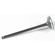 KPMI Black Diamond Intake Valve for Powersports