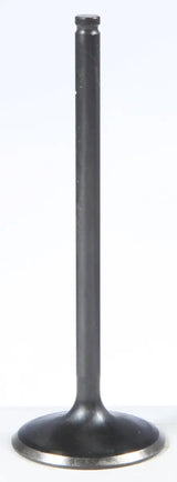 KPMI Black Diamond Intake Valve for Powersports