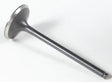 KPMI Black Diamond Intake Valve for Powersports