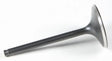 KPMI Black Diamond Intake Valve for Powersports