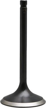 Black Diamond O/S Int. Valve Evo/Twin Cam `84 04 - KPMI