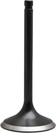 Black Diamond O/S Int. Valve Evo/Twin Cam `84 04 - KPMI
