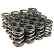 BLOX Racing Valve Springs for B18A-B / B20 (1.8L-2.0L DOHC) - Truck & Automotive