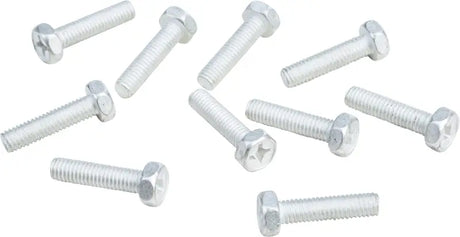 FIRE POWER Bolts 6mm X 24mm 10/Pk