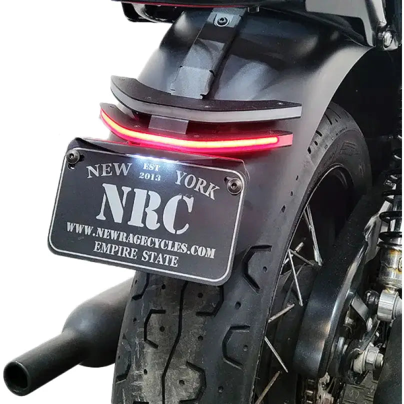 Motorcycle rear fender with integrated tail light and license plate holder for BONNEVILLE-FE