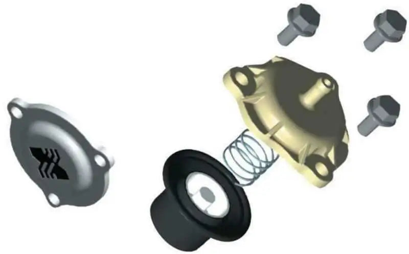 BorgWarner 179428