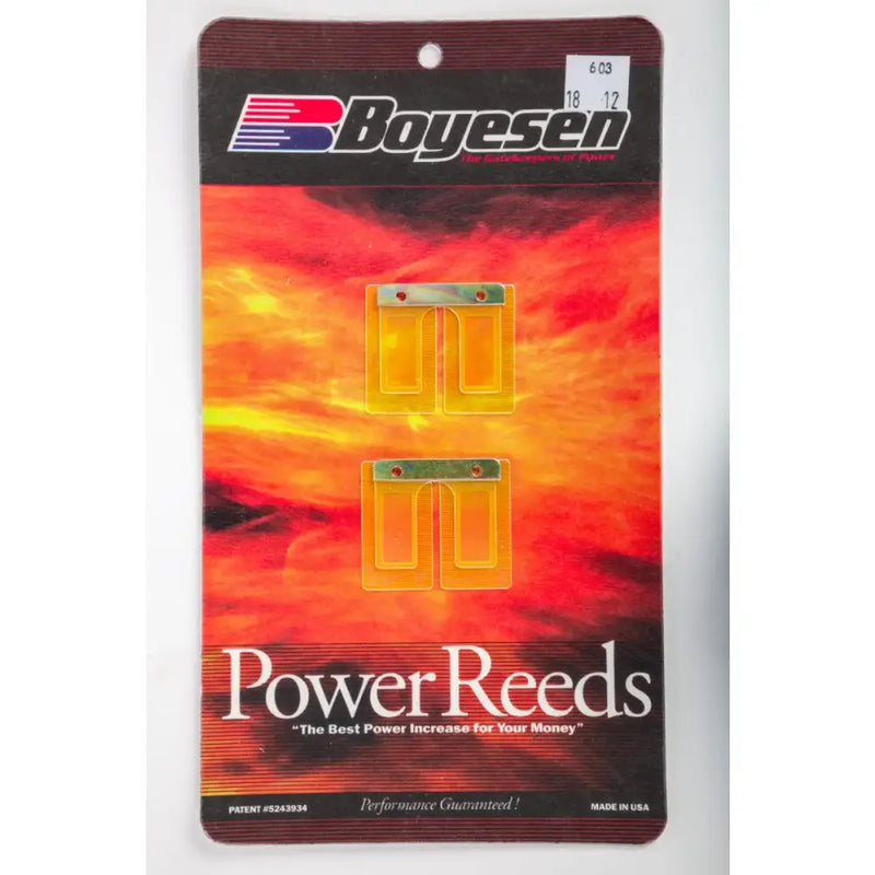 603 Boyesen Motorcycle Reeds