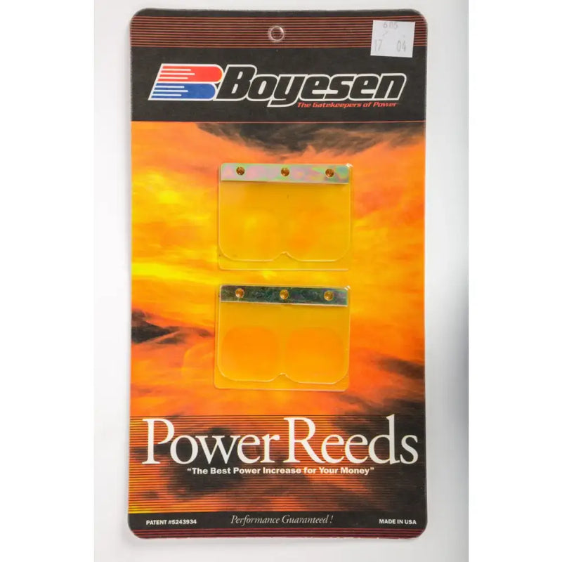 685 Boyesen Motorcycle Reeds