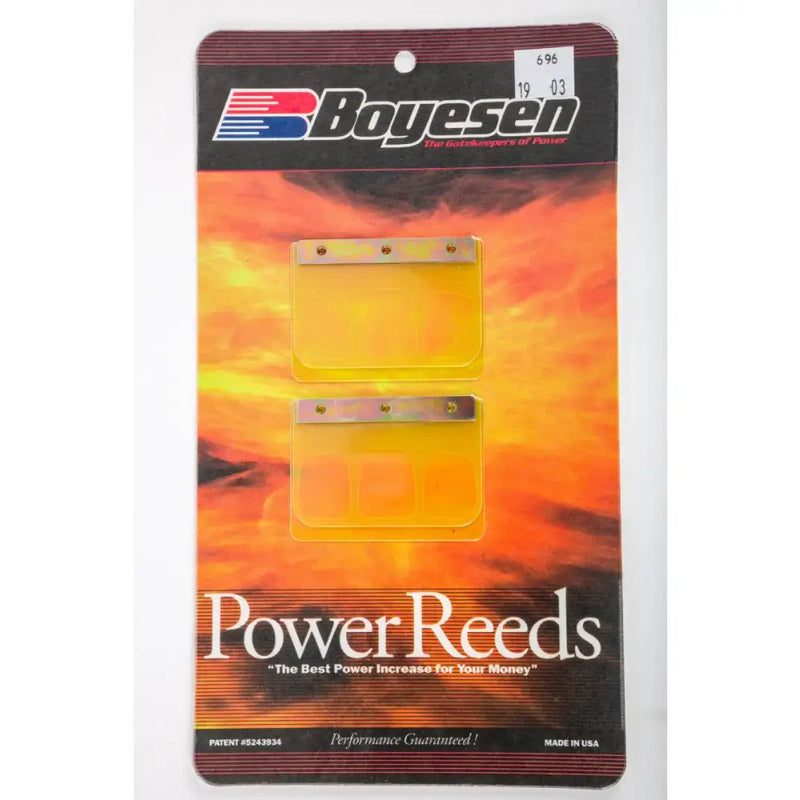 696 Boyesen Motorcycle Reeds
