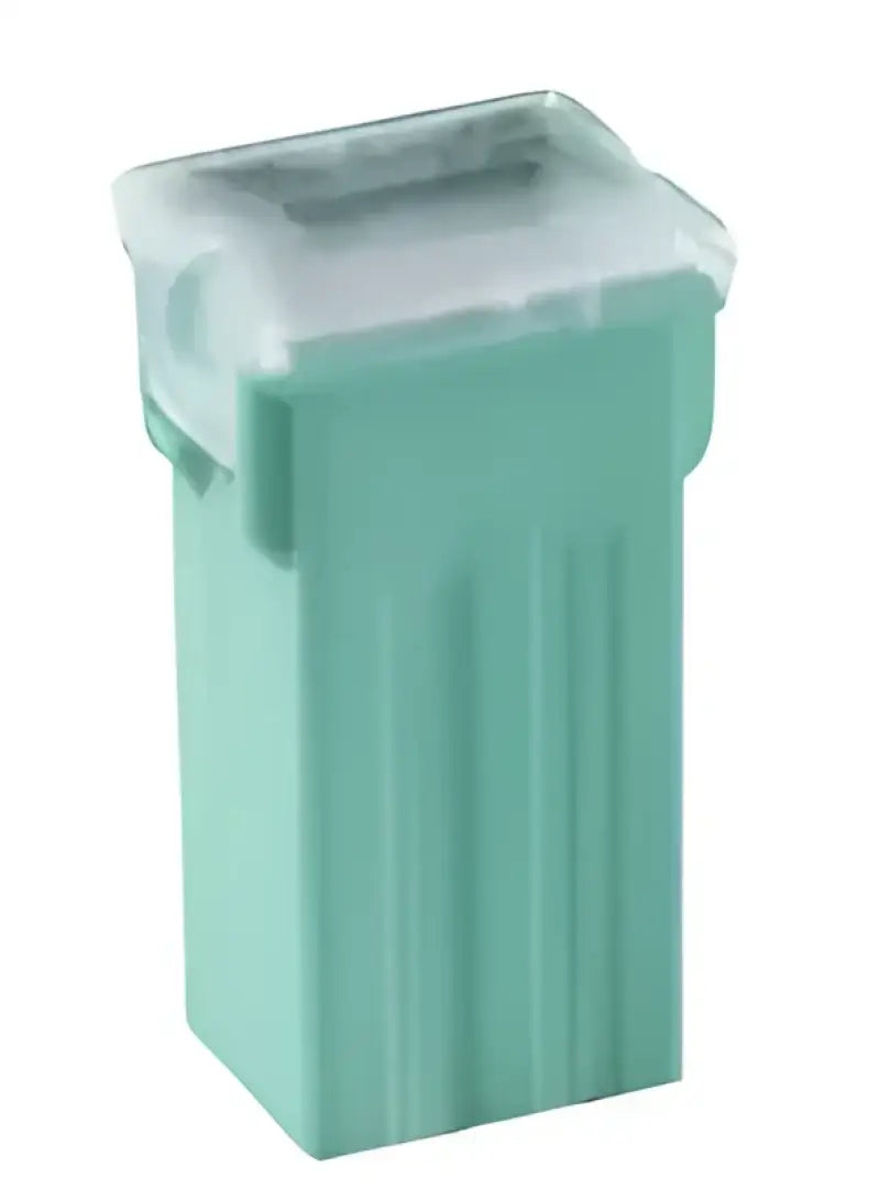 BP/FLS-30-RP Fuse