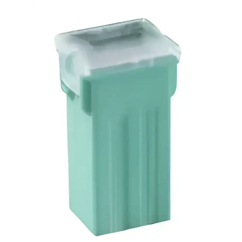 BP/FLS-30-RP Fuse