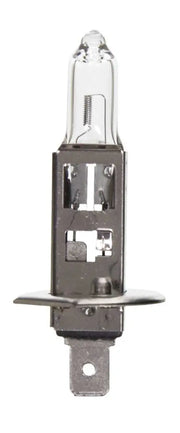 BP1255/H1 Headlight Bulb