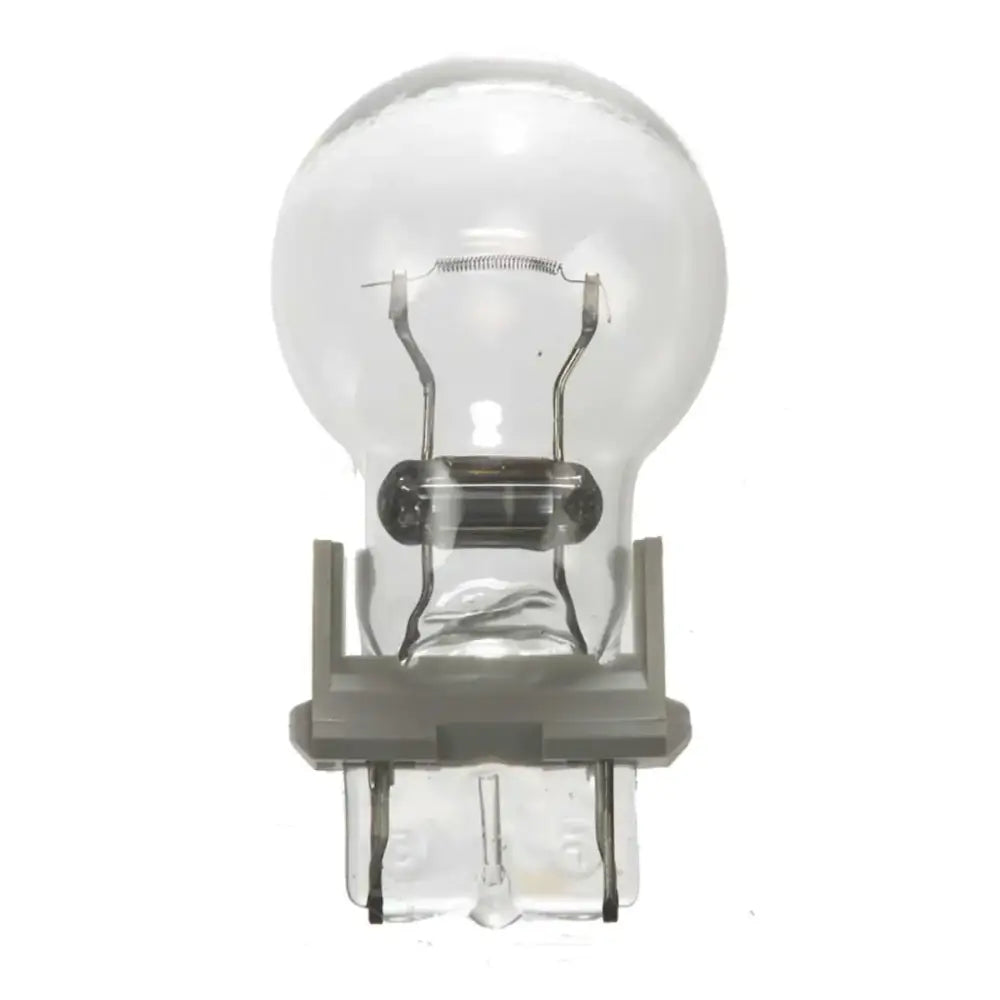 BP3156 Backup Light Bulb