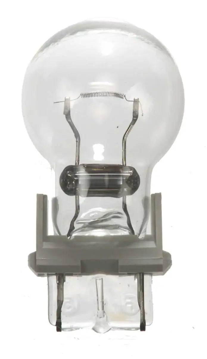 BP3156 Backup Light Bulb