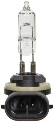 BP886 Headlight Bulb